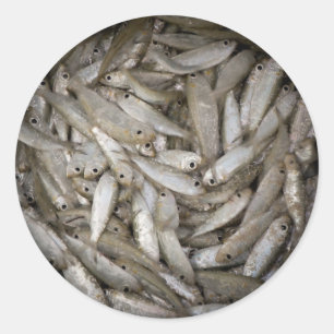 Sticker Rond Poisson dans un seau