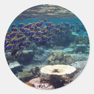 Sticker Rond Poisson de chirurgien bleu en poudre