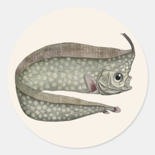 Sticker Rond Poisson d'Oarfish vintage, Vie aquatique marine (Devant)