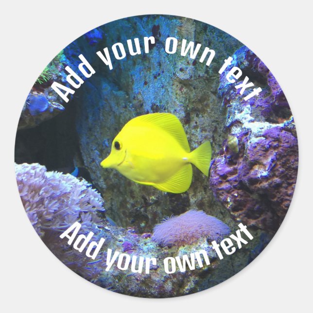 Sticker Rond Poisson jaune et corail Texte personnalisé (Devant)