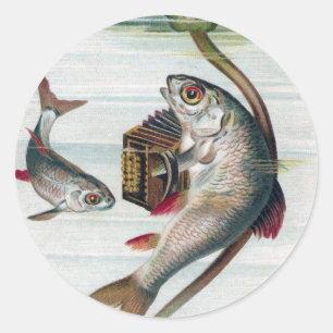 Sticker Rond Poisson Jouer Accordion et Lys d'eau