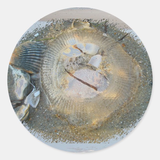 Sticker Rond Poisson-méduse échouée série Iems de coordination (Devant)