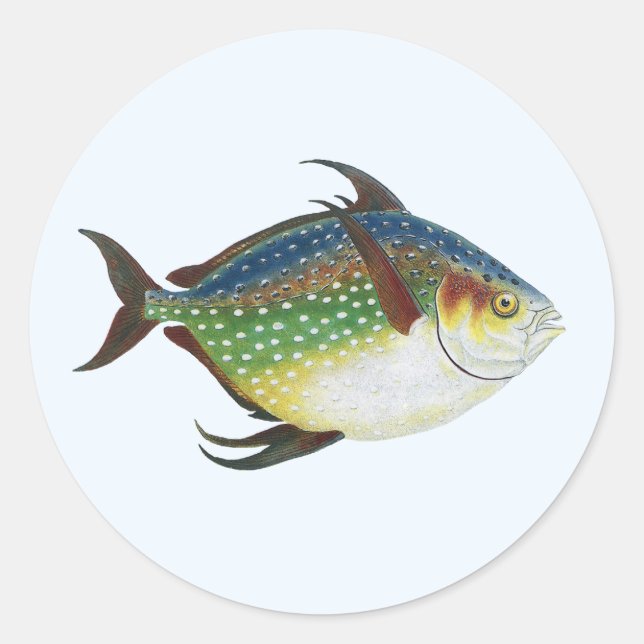 Sticker Rond Poisson Opah tropical, animal aquatique marin Vint (Devant)