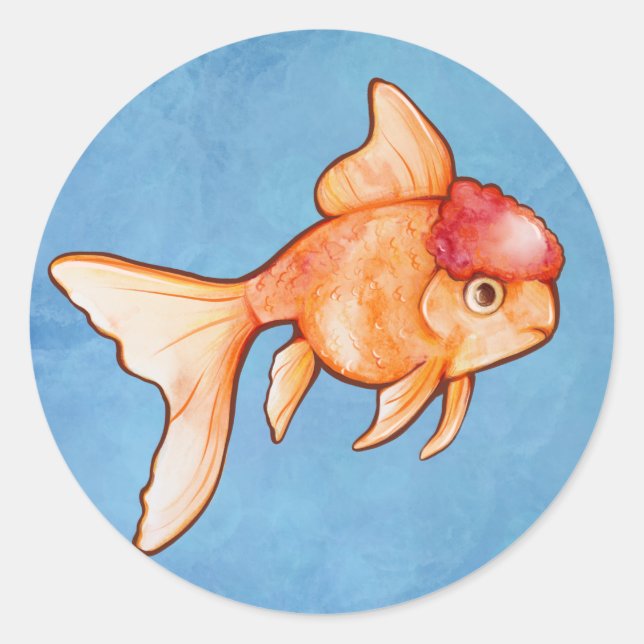 Sticker Rond Poisson rouge oranda (Devant)
