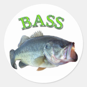 Sticker Rond poissons bas 14