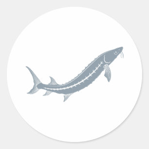 Sticker Rond Poissons d'esturgeon