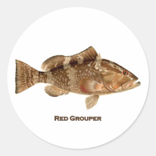 Sticker Rond Poissons rouges de mérou