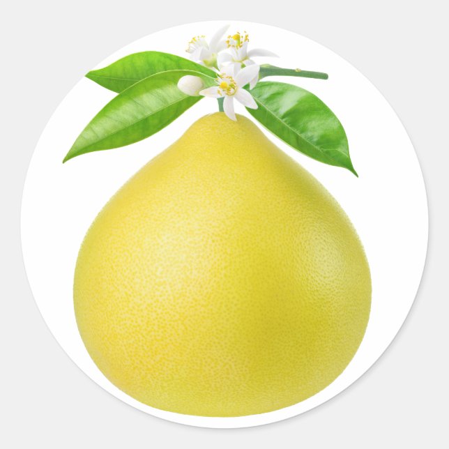 Sticker Rond Pomelo sur une branche (Devant)