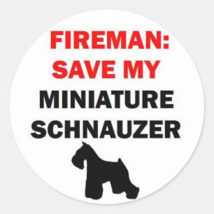 Sticker Rond Pompier Sauver Mon Schnauzer Miniature