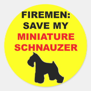 Sticker Rond Pompier Sauver Mon Schnauzer Miniature
