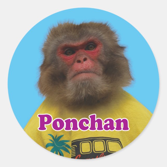 Sticker Rond Ponchan sticker.　ぽんちゃんシール (Devant)