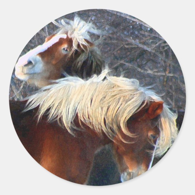 Sticker Rond poney (Devant)