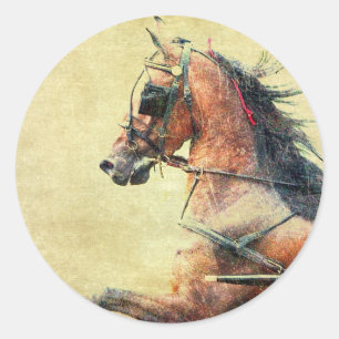 Sticker Rond Poney de Hackney