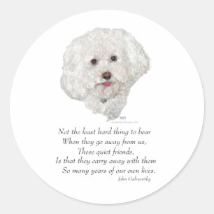 Sticker Rond Pont Bichon Frise Rainbow