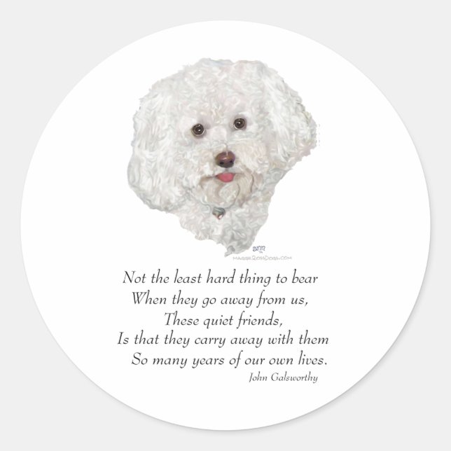 Sticker Rond Pont Bichon Frise Rainbow (Devant)