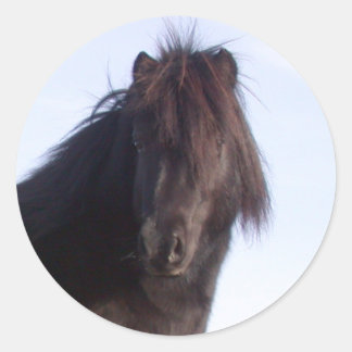 Sticker Rond Pony
