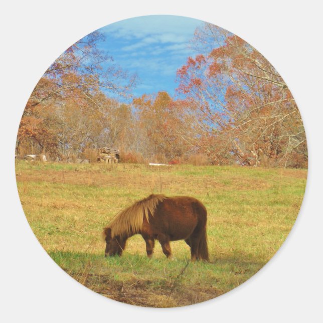 Sticker Rond Pony miniature Brown (Devant)