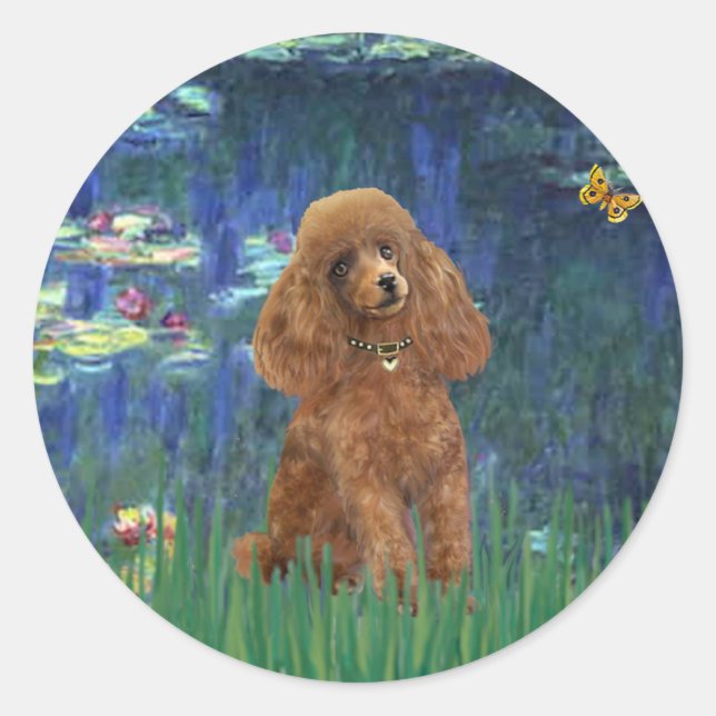 Sticker Rond Poodle (Apricot 10) - Lilies 5 (Devant)