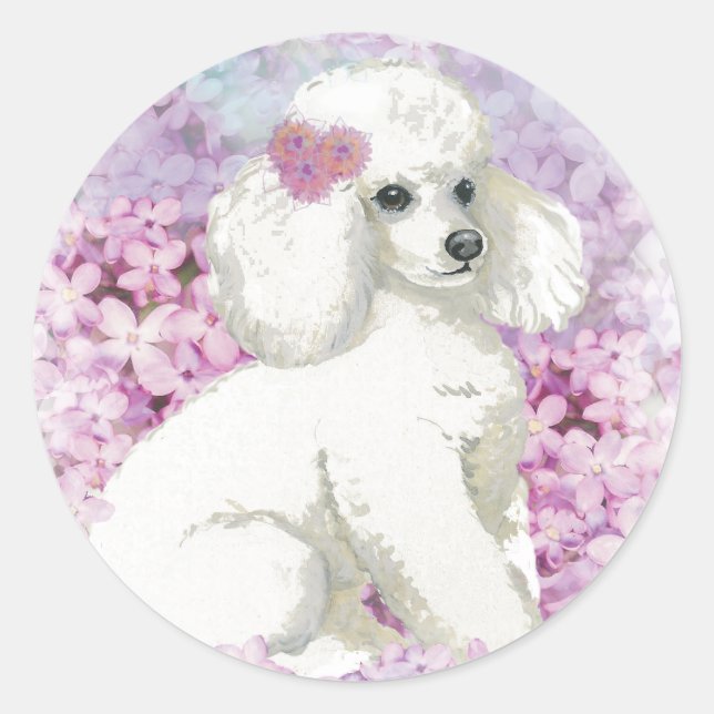 Sticker Rond Poodle blanc dans les Lilacs Art et cadeaux (Devant)