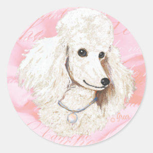 Sticker Rond Poodle blanc sur portrait Rose