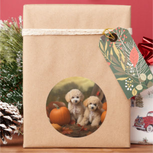 Sticker Rond Poodle Chiot Automne Citrouille délice
