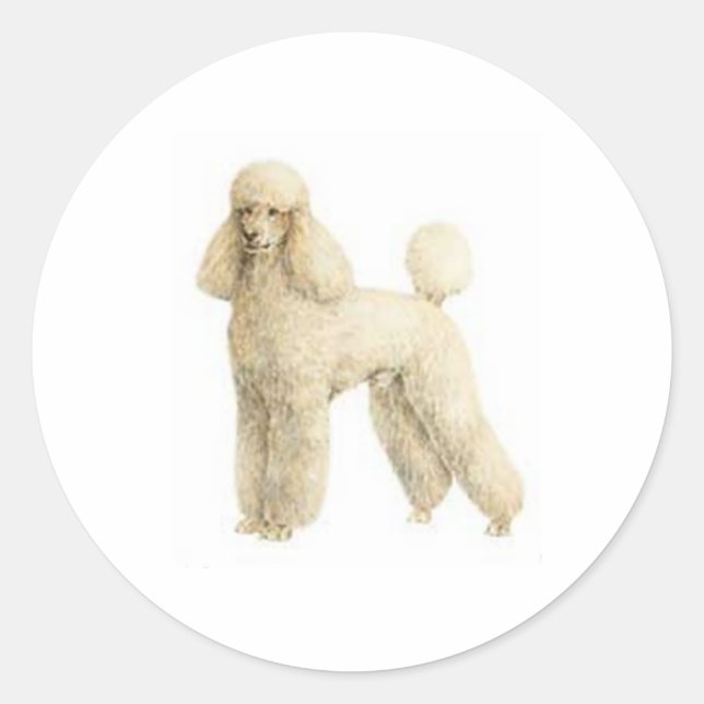 Sticker Rond Poodle — Clip de chiot (Devant)