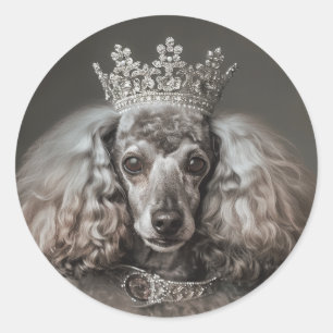 Sticker Rond Poodle gris habillé en princesse