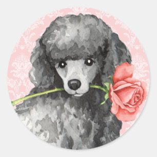 Sticker Rond Poodle miniature Rose Valentine