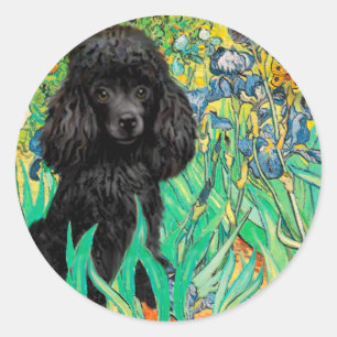 Sticker Rond Poodle (noir 1) - Irises
