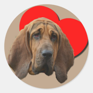 Sticker Rond PopArt Colorful Bloodhound Heart Love Art