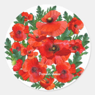 Sticker Rond Poppies rouges sauvages