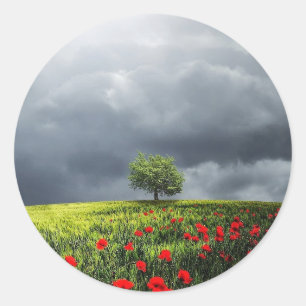 Sticker Rond Poppy Field et ciel nuageux