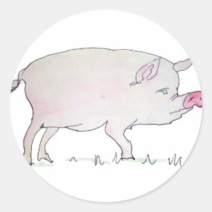 Sticker Rond porc
