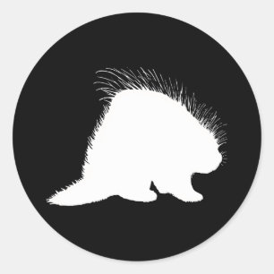 Sticker Rond Porcupine