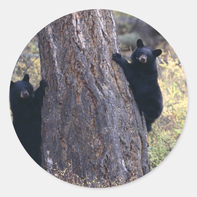 Sticker Rond porter (Devant)