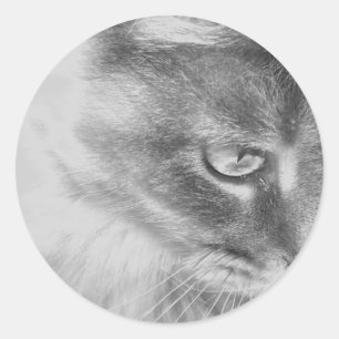 Sticker Rond Portrait "Angel Kitty"