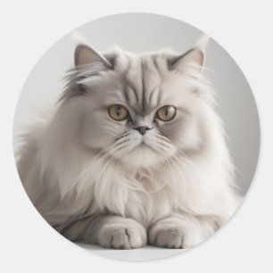 Sticker Rond Portrait de chat persan minimaliste moderne