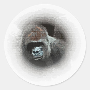 Sticker Rond Portrait de Gorilla