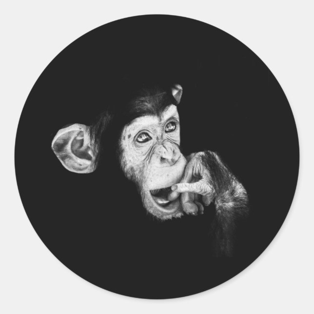 Sticker Rond Portrait d'un penseur Chimpanzé (Devant)