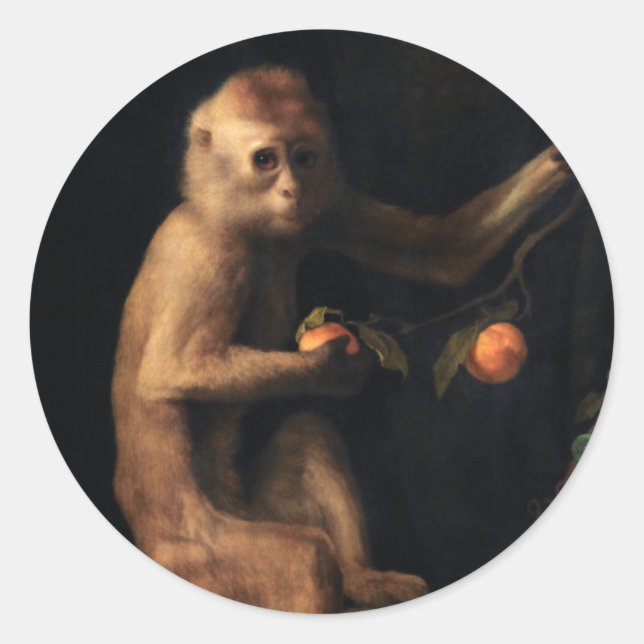 Sticker Rond Portrait d'un singe (Devant)