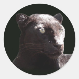 Sticker Rond Portrait noir de léopard