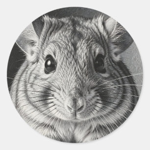Sticker Rond Portrait Réaliste de Chinchilla au Crayon
