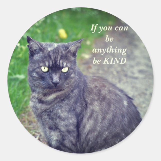 Sticker Rond Poser un chat sur une marche Motivationnelle (Devant)