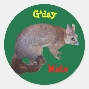 Sticker Rond Possum