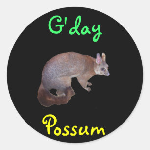 Sticker Rond Possum