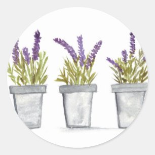 Sticker Rond Pots d'herbe lavande aquarelle fleurs violet chic