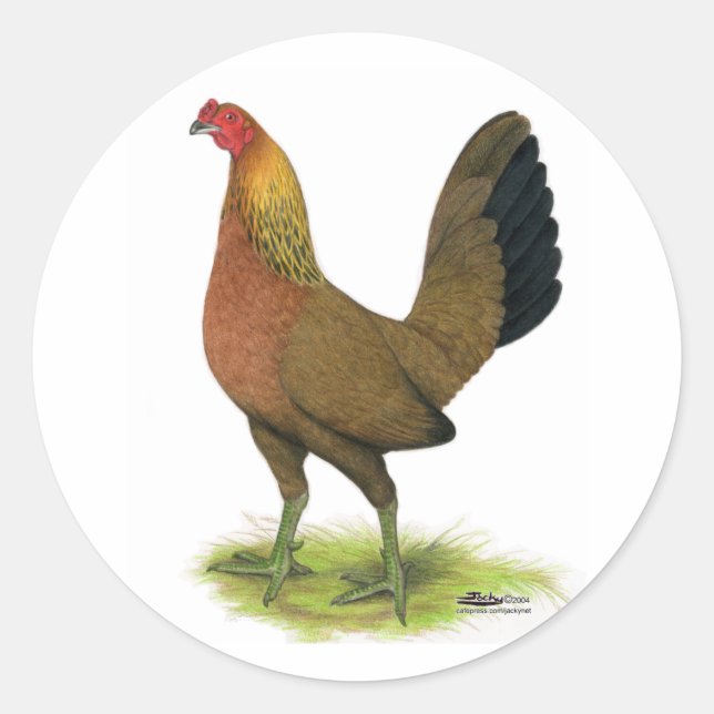 Sticker Rond Poule de combat :  crête de pois (Devant)