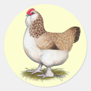 Sticker Rond Poule saumonée de Faverolle