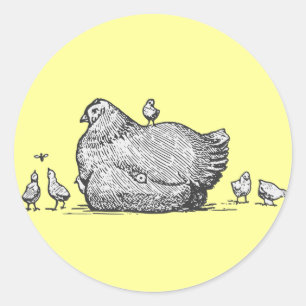 Sticker Rond Poules et poules