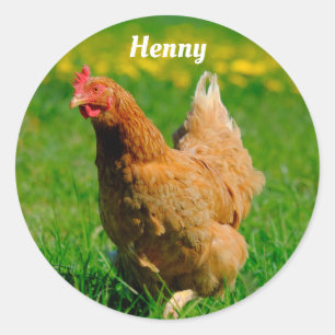 Sticker Rond Poulet Brown personnalisé dans l'herbe